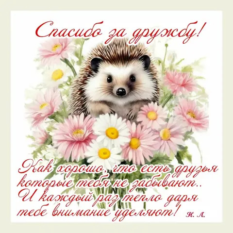 Открытки благодарственные — открытка