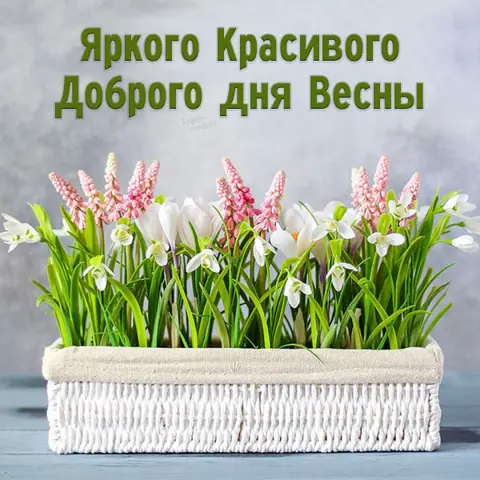 Добрый день открытки красивые весенние — открытки с добрым весенним днем