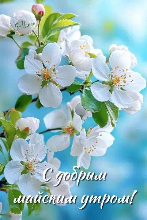 Открытки с добрым утром понедельника весенние красивые