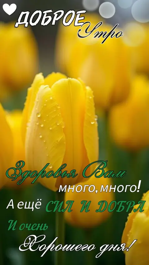 Добрейшего весеннего утра — жëлтые тюльпаны