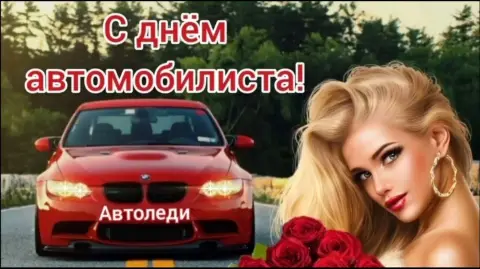 С Днем автомобилиста автоледи — с день автомобилиста