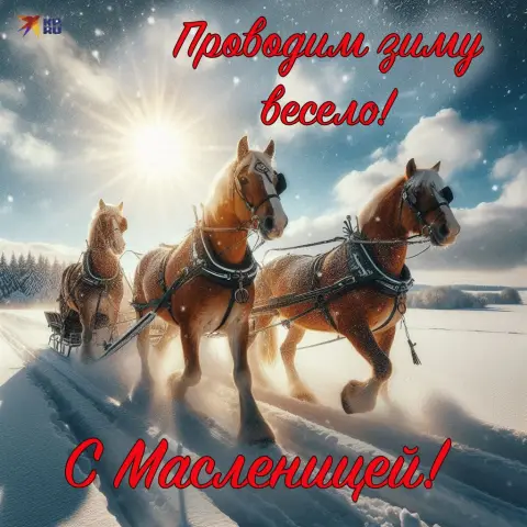 С масленицей открытки — с масленица открытки