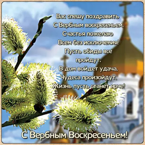 С вербным воскресением открытка — вербного воскресенья