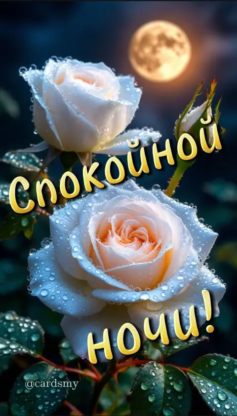Ночь спокойной ночи — спокойная ночи