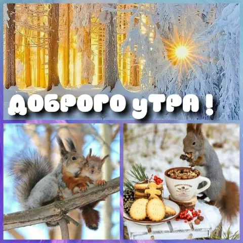 Доброе зимнее утро — открытка с белочкой доброе утро