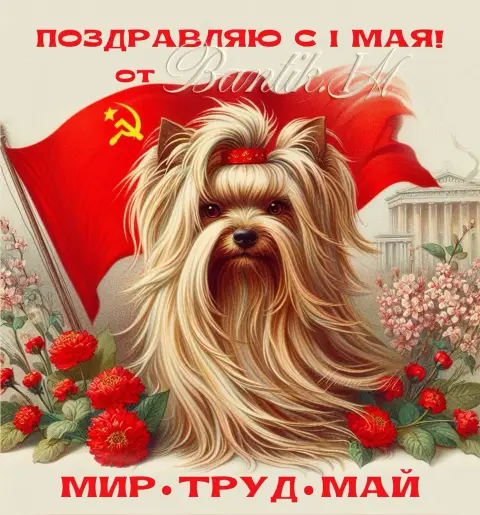 Собака йоркширский терьер — открытки с первого мая
