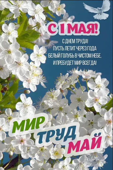 Мир труд май 1 мая — 1 мая день весны и труда