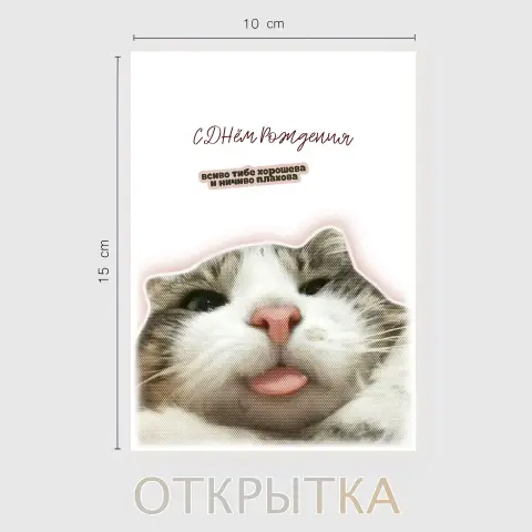 Открытки С Днём рождения с котами прикольные — открытки с днем рождения котики