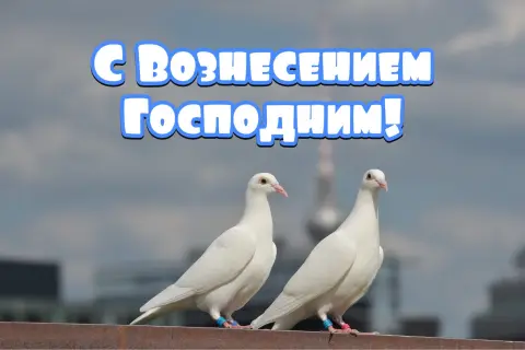Открытку с вознесением господним — вознесение господне в 2026 открытка