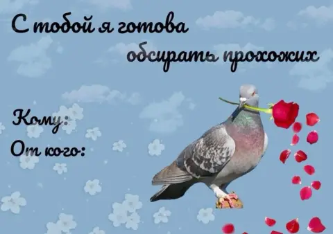 Голубь в — с днем святого валентина смешные