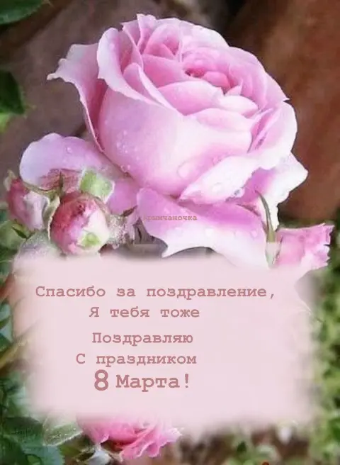 Поздравительная открытка С Днем рождения — поздравление с днем рождения красивое