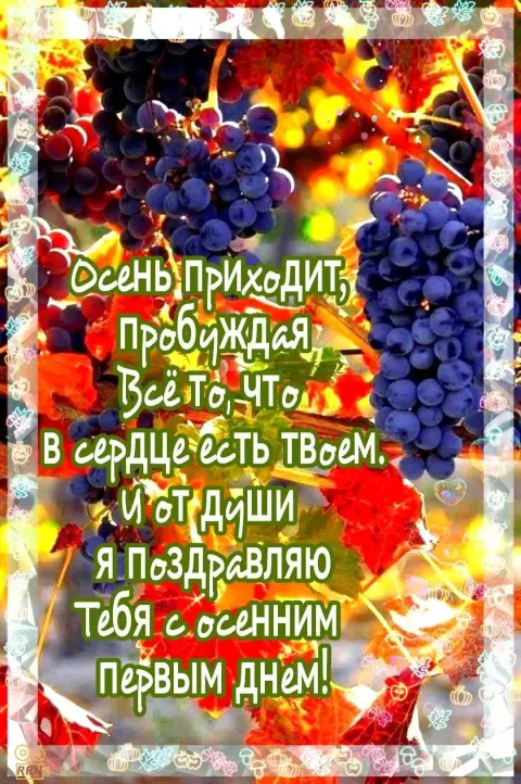С наступлением осени — осень осень