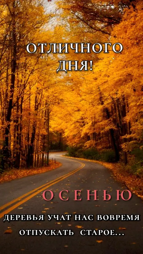 С добрым осеннем утром — доброго утра осеннего