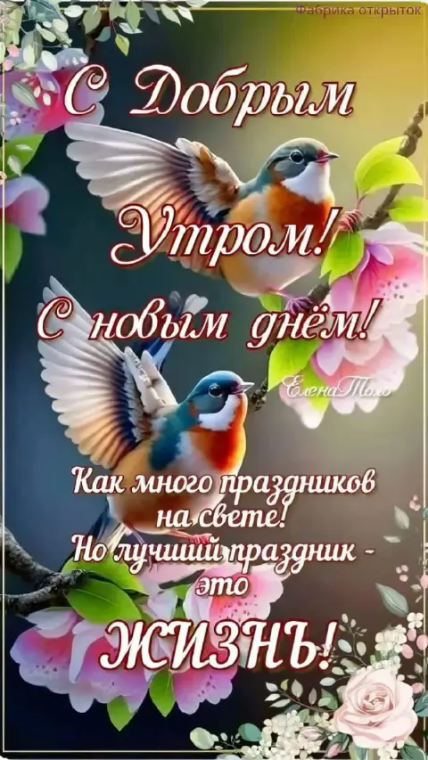 С добрым утром с птицами красивые — открытки с добрым утром птички