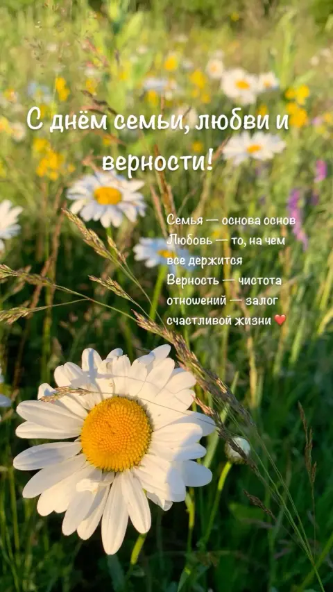 С Днем семьи любви и верности 8 июля