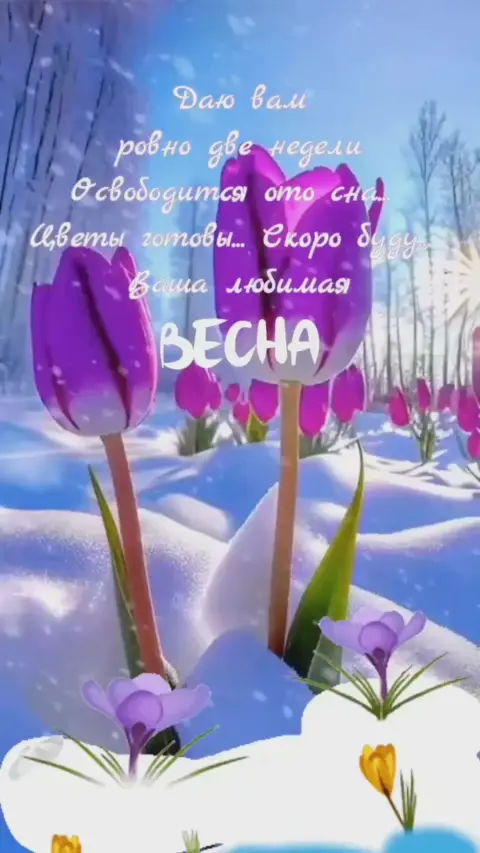 Февраль скоро весна — поздравление с весной