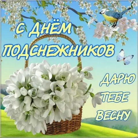 День подснежника 19 апреля — с днем подснежника
