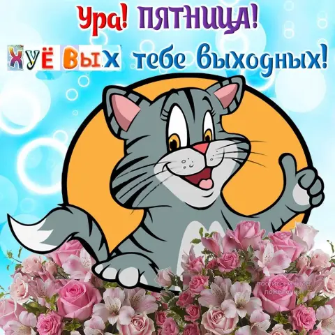 Замечательной пятницы — чудесной пятницы