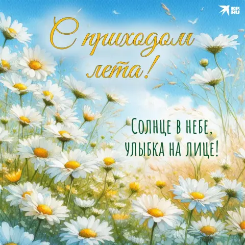 Открытки с первым днем лета — ромашковое лето