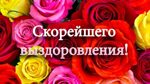 Выздоравливай Любочка — олечка выздоравливай