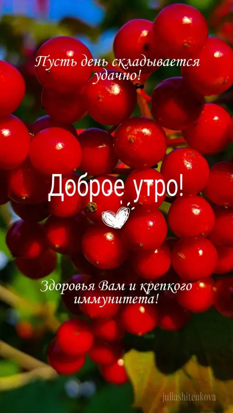 Доброе утро — лусль день скаданнается доброе утро