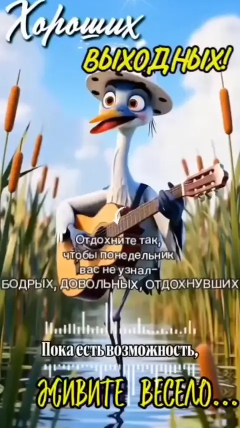 Открытки с хорошими выходными прикольные — всем хороших выходных