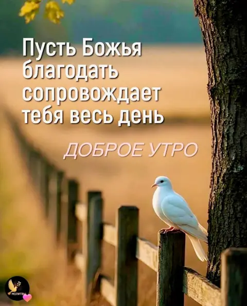 Доброе утро христианские — доброе утро божией помощи в новом дне