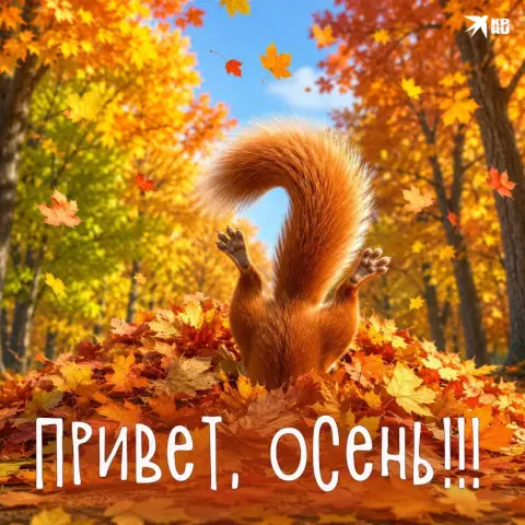 Открытки осенний приветик — осенние открытки