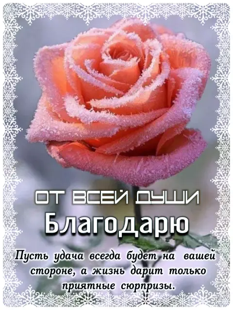 Открытки благодарственные — поздравительная открытка