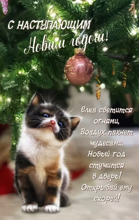 С наступающим новым годом — новогодние пожелания