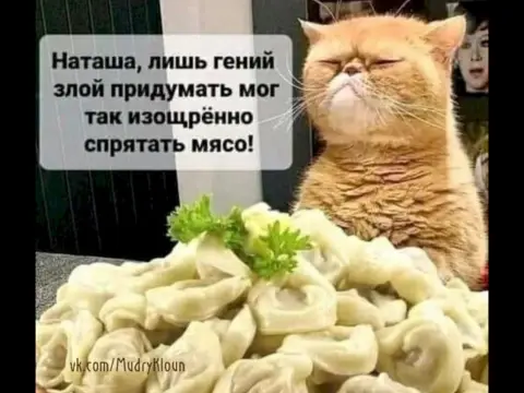 Пельмени — день пельменей