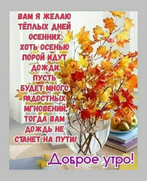 Открытки с добрым утром осенние красивые с пожеланиями — доброе утро осеннее с пожеланиями