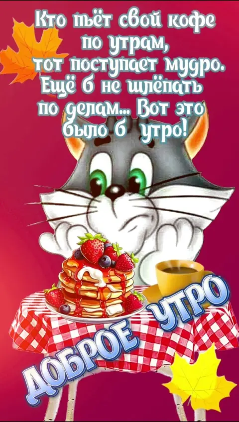 Открытки с добрым утром прикольные веселые — шутливые поздравления с добрым утром
