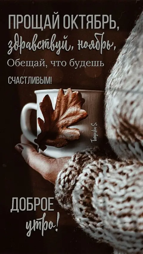 Доброе осеннее утро — прощай октябрь здравствуй ноябрь