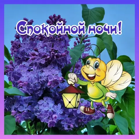 Открытки спокойной ночи весенние красивые — пожелание доброй ночи
