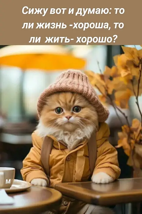 Доброе утро осень котик — с добрым утром осенние прикольные