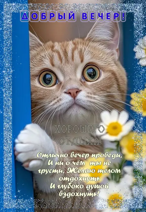 Поздравительная открытка с кошкой — добрый летний вечер
