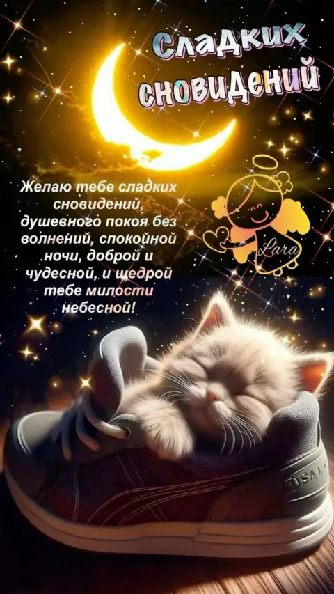 Сладких сновидений — добрый вечер сладких снов