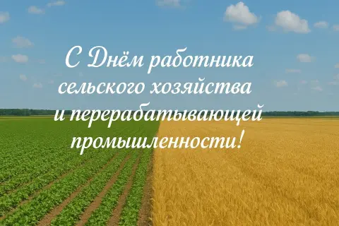 День работников сельского хозяйства