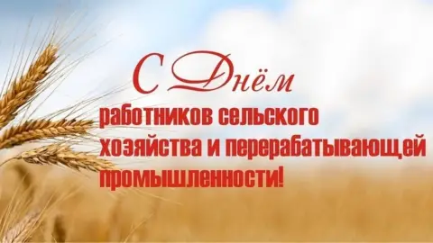 День работника сельского хозяйства