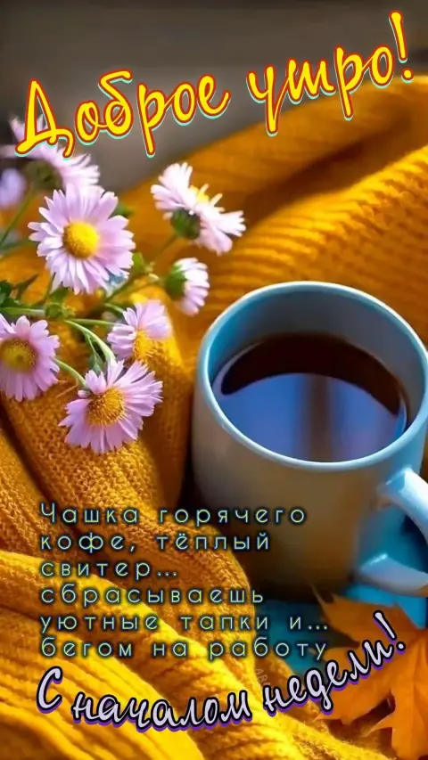 Понедельника доброе утро — добра утра