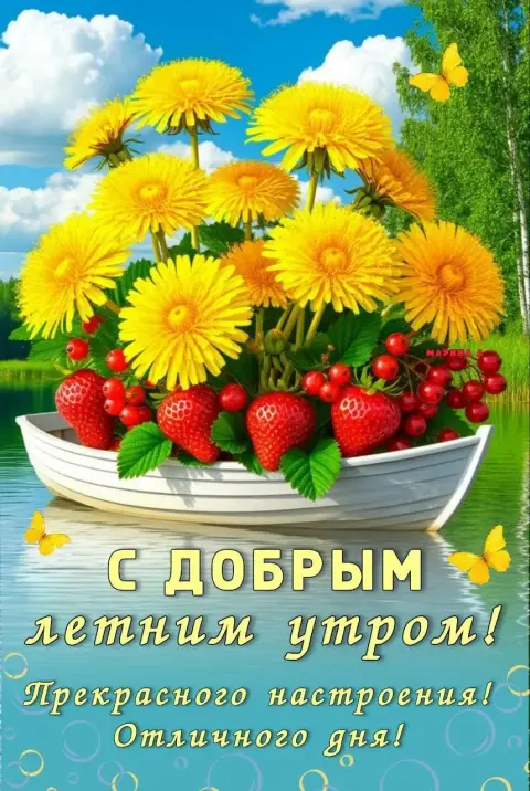 Открытки с добрым утром и хорошего дня летние