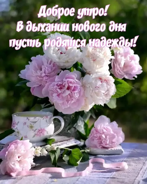 Доброе утро пионы — с добрым утром с пионами