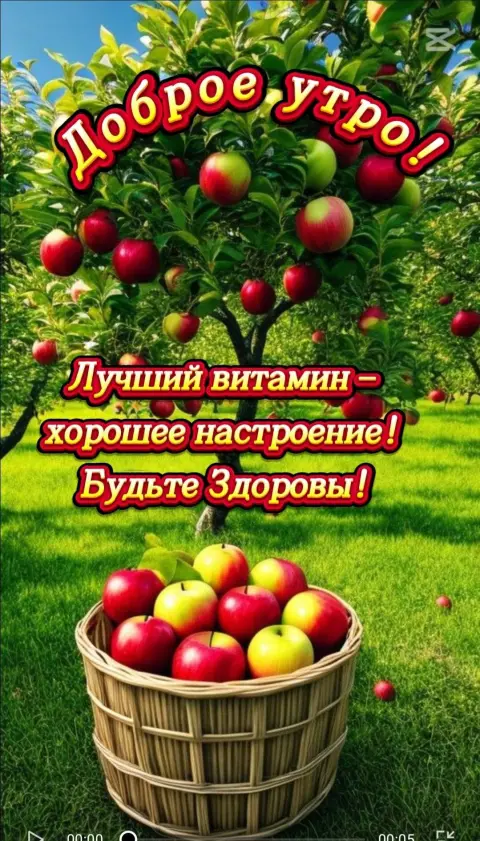 Доброе утро здоровья и бодрости хорошего настроения на весь день