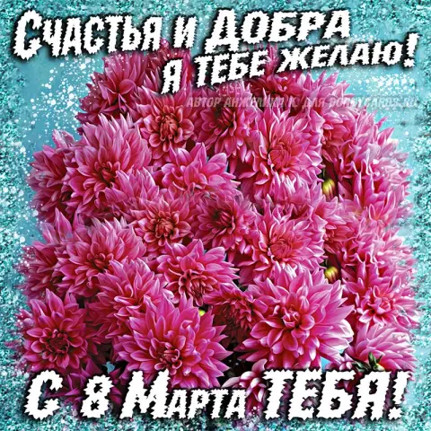 8 марта поздравления красивые — открытка хризантемы
