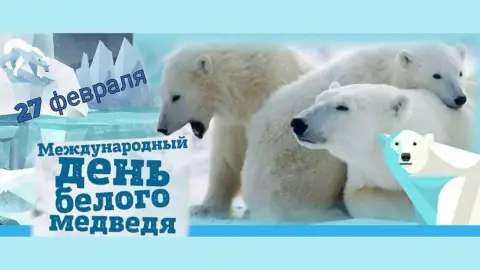 27 февраля международный день белого медведя