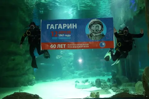 Москвариум на вднх — океанариум на дмитровском шоссе