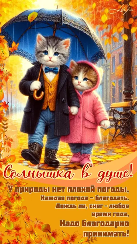 Доброе утро дождливая погода — осени