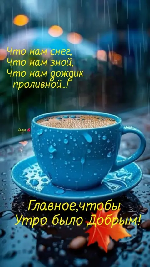Открытки с дождем доброе утро — дождливого утра