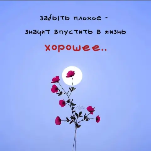 Открытки со смыслом — мудрая цитата